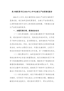 某乡镇党委书记2024年上半年全面从严治党情况报告