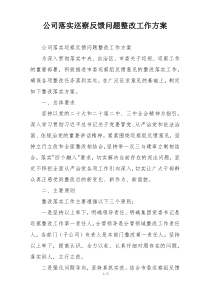 公司落实巡察反馈问题整改工作方案