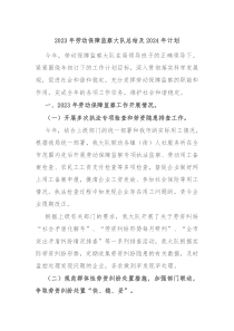 2023年劳动保障监察大队总结及2024年计划
