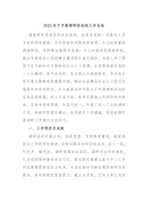 20XX关于开展调研活动的工作总结