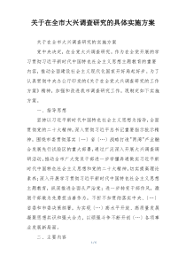 关于在全市大兴调查研究的具体实施方案