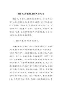2023年工作总结及2024年工作计划2