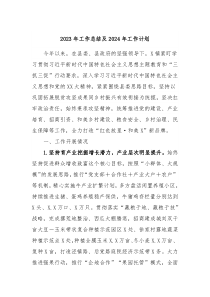 2023年工作总结及2024年工作计划3