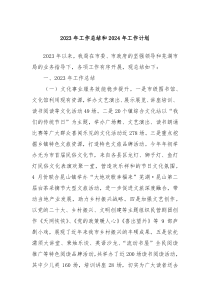 2023年工作总结和2024年工作计划