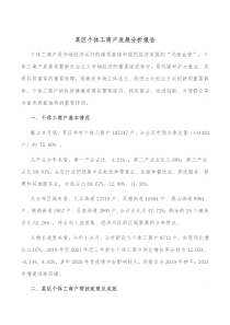 某区个体工商户发展分析报告