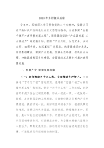 20XX年乡村振兴总结