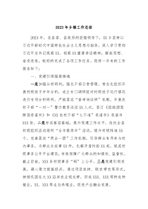 20XX年乡镇工作总结