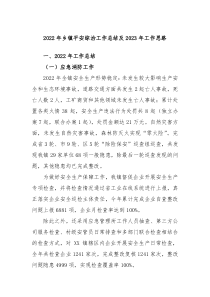 20XX年乡镇平安综治工作总结及20XX年工作思路