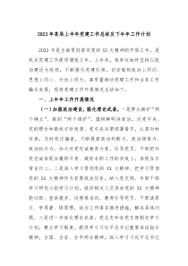 2023年某局上半年党建工作总结及下半年工作计划