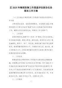 区2025年梅雨防御工作复盘评估报告任务落实工作方案