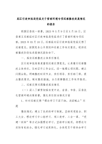 某区行政审批局党组关于营商环境专项巡察整改进展情况的报告