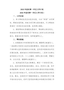 2023年驻村第一书记工作计划