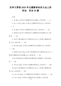 在学习贯彻2025年主题教育动员大会上的讲话、发言20篇