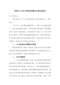 某县关于20XX年度财政预算执行情况的报告