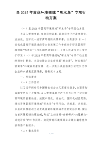 县2025年营商环境领域“啄木鸟”专项行动方案