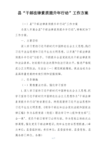 县“干部法律素质提升年行动”工作方案