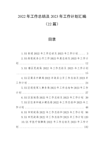 22篇2022年工作总结及2023年工作计划汇编
