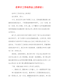 在审计工作动员会上的讲话1