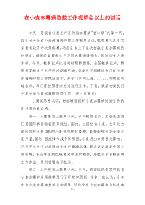在小麦赤霉病防控工作视频会议上的讲话
