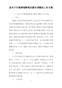 县关于开展酒驾醉驾问题专项整治工作方案