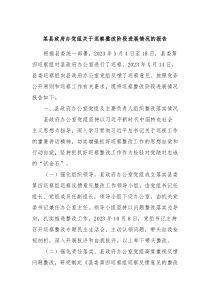某县政府办党组关于巡察整改阶段进展情况的报告