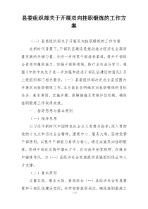 县委组织部关于开展双向挂职锻炼的工作方案