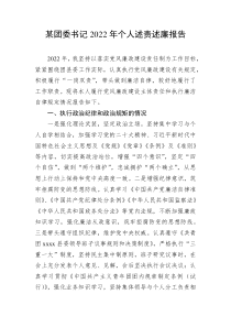 某团委书记20XX年个人述责述廉报告