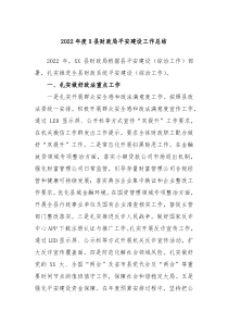 20XX年度X县财政局平安建设工作总结