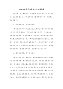 20XX年度办公室主任个人工作总结