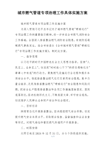 城市燃气管道专项治理工作具体实施方案