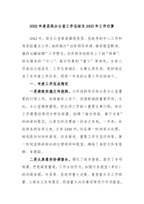 20XX年度县局办公室工作总结及20XX年工作打算