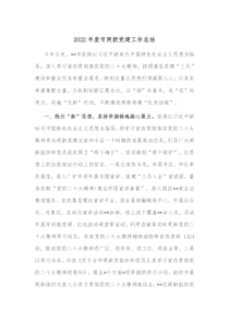 20XX年度市两新党建工作总结