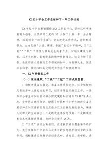 XX红十字会工作总结和下一年工作计划