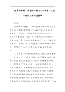 在市委农村工作领导小组2025年第1次全体会议上的讲话提纲