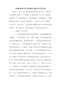 XX镇2022年工作总结及2023年工作计划