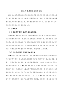 20XX年度思想政治工作总结