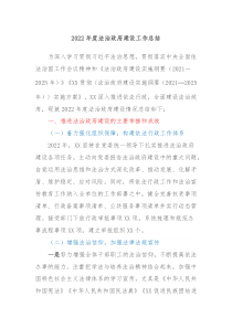 20XX年度法治政府建设工作总结