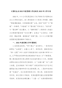 X国有企业2022年度党建工作总结及2023年工作计划