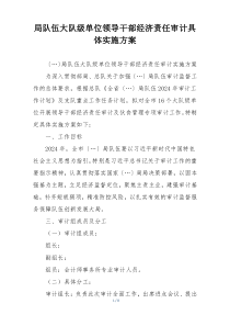 局队伍大队级单位领导干部经济责任审计具体实施方案