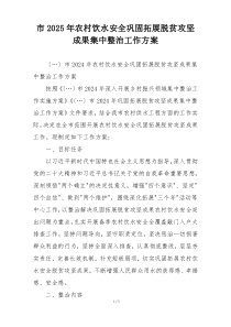 市2025年农村饮水安全巩固拓展脱贫攻坚成果集中整治工作方案