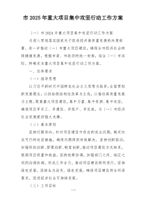 市2025年重大项目集中攻坚行动工作方案