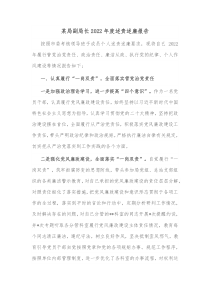 某局副局长20XX年度述责述廉报告