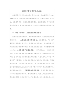 20XX年某乡团委工作总结