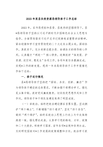 20XX年某县自然资源局领导班子工作总结