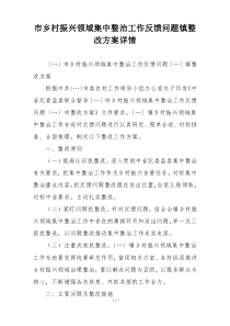 市乡村振兴领域集中整治工作反馈问题镇整改方案详情