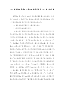 20XX年法治政府重点工作完成情况总结及20XX年工作打算