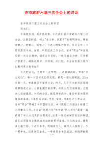 在市政府六届三次全会上的讲话
