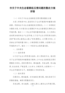 市关于中央生态督察组反馈问题的整改方案详情
