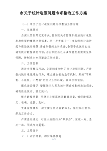 市关于统计造假问题专项整治工作方案