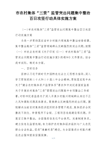 市农村集体“三资”监管突出问题集中整治百日攻坚行动具体实施方案